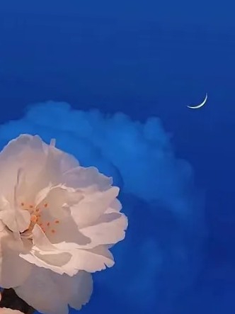 自渡