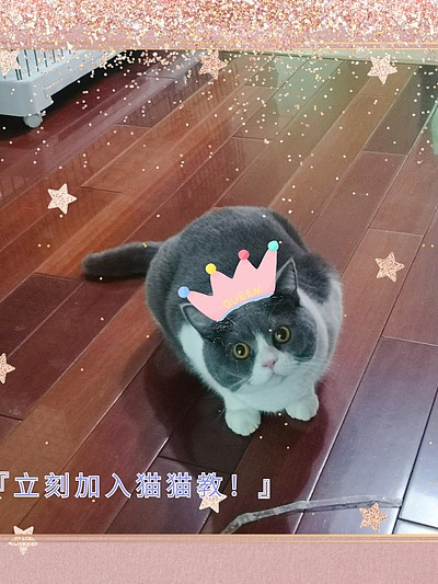 【ABO】霸道总裁的小奶鱼