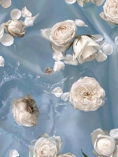 莫问黄泉归来路