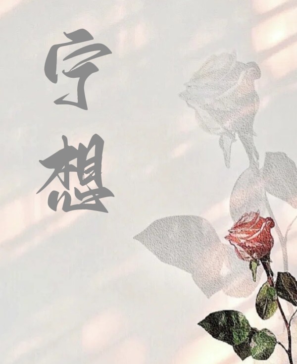 宁想